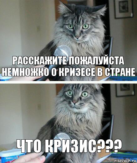 расскажите пожалуйста немножко о кризесе в стране ЧТО КРИЗИС???, Комикс  кот с микрофоном