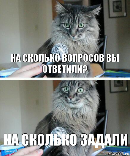 На сколько вопросов вы ответили? На сколько задали, Комикс  кот с микрофоном