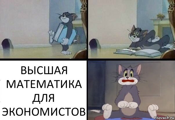 ВЫСШАЯ МАТЕМАТИКА ДЛЯ ЭКОНОМИСТОВ