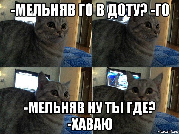 -мельняв го в доту? -го -мельняв ну ты где? -хаваю, Мем  Кот в шоке