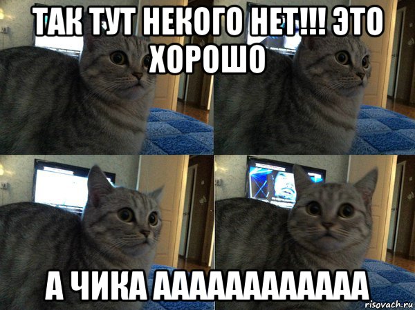 так тут некого нет!!! это хорошо а чика аааааааааааа, Мем  Кот в шоке