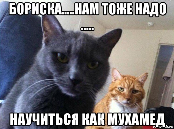 бориска.....нам тоже надо ..... научиться как мухамед, Мем  Два котэ