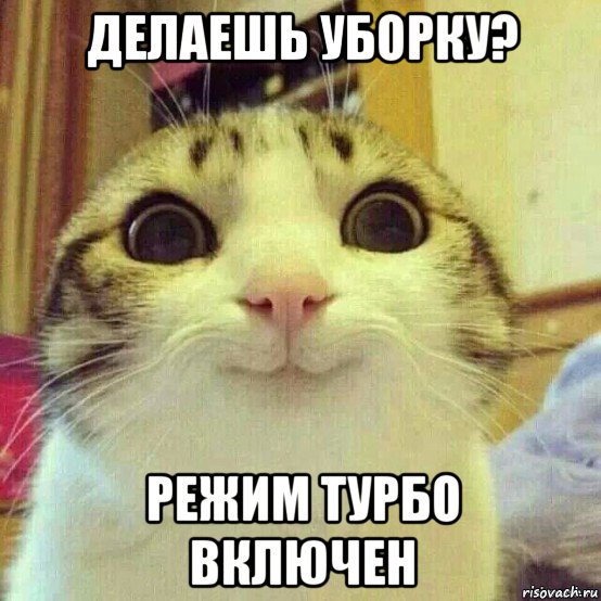 делаешь уборку? режим турбо включен, Мем       Котяка-улыбака