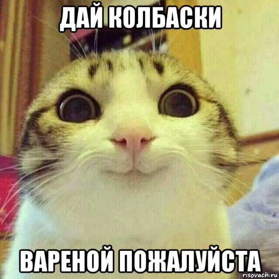 дай колбаски вареной пожалуйста, Мем       Котяка-улыбака