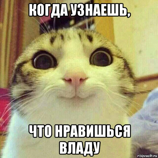 когда узнаешь, что нравишься владу, Мем       Котяка-улыбака