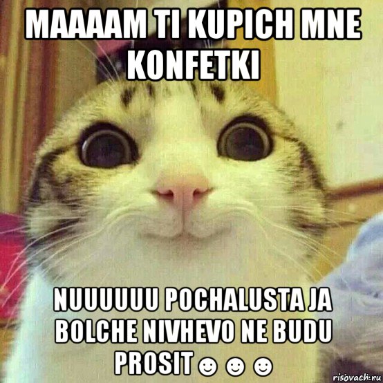 maaaam ti kupich mne konfetki nuuuuuu pochalusta ja bolche nivhevo ne budu prosit☻☻☻, Мем       Котяка-улыбака