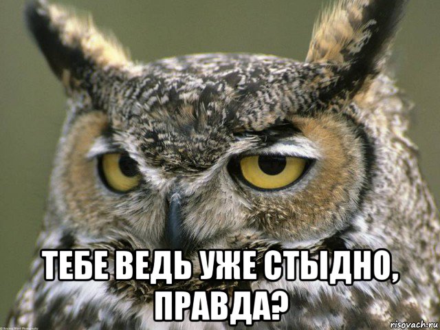  тебе ведь уже стыдно, правда?