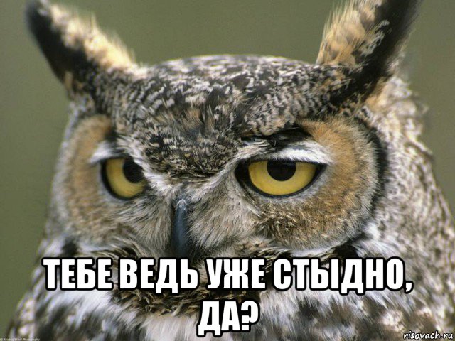  тебе ведь уже стыдно, да?