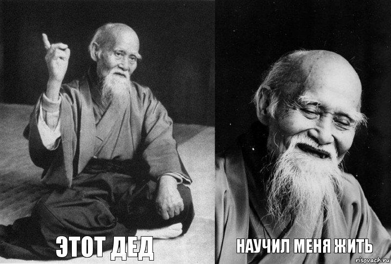  ЭТОТ ДЕД  НАУЧИЛ МЕНЯ ЖИТЬ, Комикс Мудрец-монах (4 зоны)