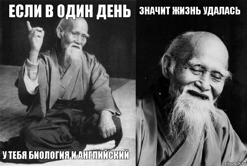 Если в один день у тебя биология и английский Значит жизнь удалась , Комикс Мудрец-монах (4 зоны)