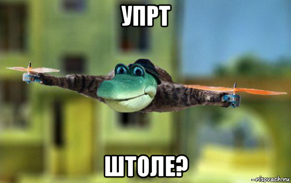 упрт штоле?