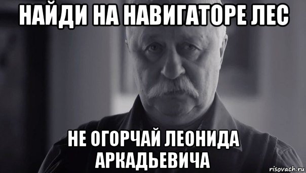 найди на навигаторе лес не огорчай леонида аркадьевича