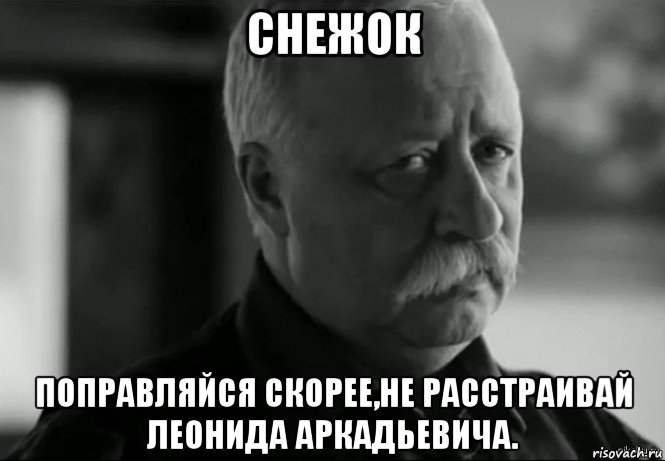 снежок поправляйся скорее,не расстраивай леонида аркадьевича., Мем Не расстраивай Леонида Аркадьевича