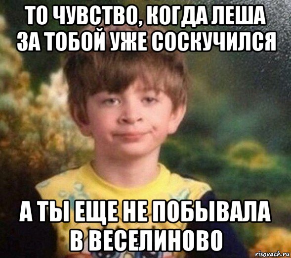 то чувство, когда леша за тобой уже соскучился а ты еще не побывала в веселиново, Мем Недовольный пацан