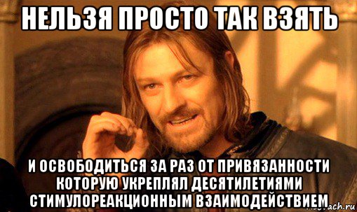 нельзя просто так взять и освободиться за раз от привязанности которую укреплял десятилетиями стимулореакционным взаимодействием, Мем Нельзя просто так взять и (Боромир мем)