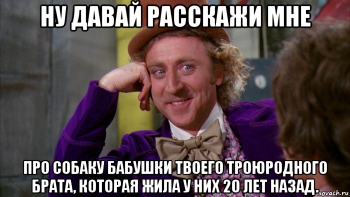 ну давай расскажи мне про собаку бабушки твоего троюродного брата, которая жила у них 20 лет назад., Мем Ну давай расскажи (Вилли Вонка)