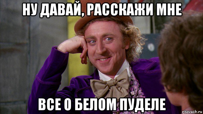 ну давай, расскажи мне все о белом пуделе, Мем Ну давай расскажи (Вилли Вонка)