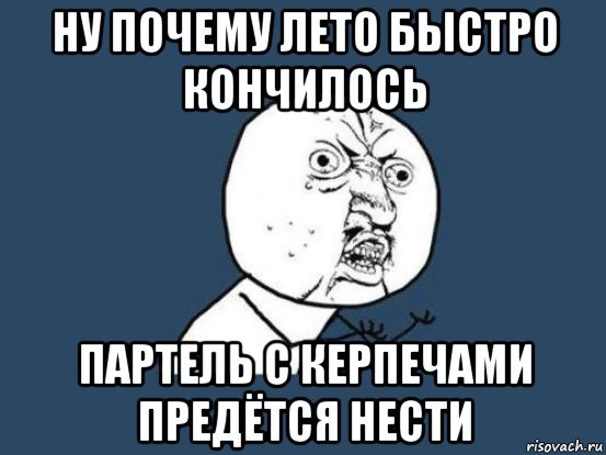 ну почему лето быстро кончилось партель с керпечами предётся нести, Мем Ну почему