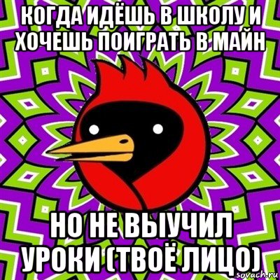 когда идёшь в школу и хочешь поиграть в майн но не выучил уроки (твоё лицо), Мем Омская птица