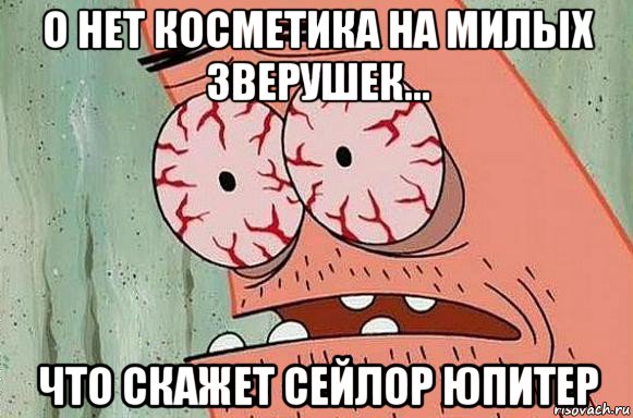 о нет косметика на милых зверушек... что скажет сейлор юпитер, Мем  Патрик в ужасе