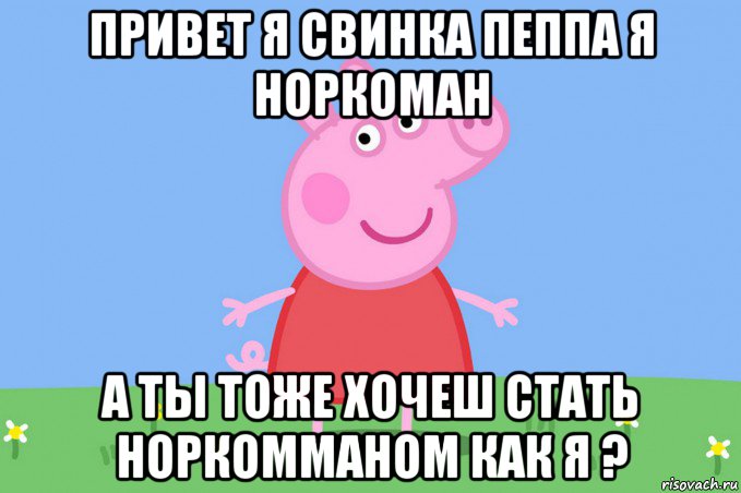 привет я свинка пеппа я норкоман а ты тоже хочеш стать норкомманом как я ?, Мем Пеппа