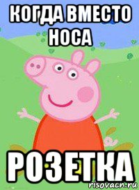 когда вместо носа розетка, Мем  Peppa