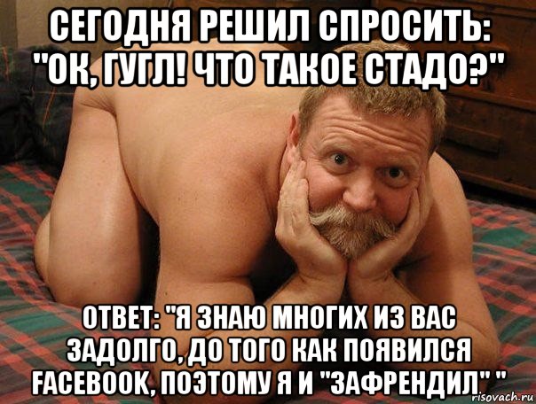 сегодня решил спросить: "ок, гугл! что такое стадо?" ответ: "я знаю многих из вас задолго, до того как появился facebook, поэтому я и "зафрендил" ", Мем прив че делаешь