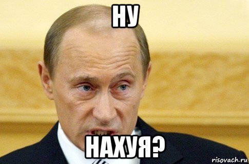 ну нахуя?, Мем путин