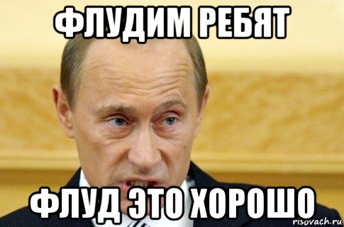 флудим ребят флуд это хорошо, Мем путин