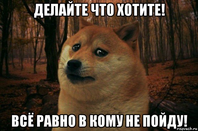 делайте что хотите! всё равно в кому не пойду!, Мем SAD DOGE