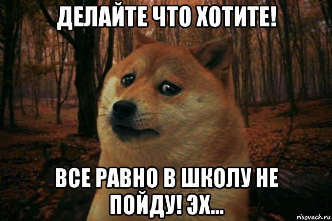 делайте что хотите! все равно в школу не пойду! эх..., Мем SAD DOGE