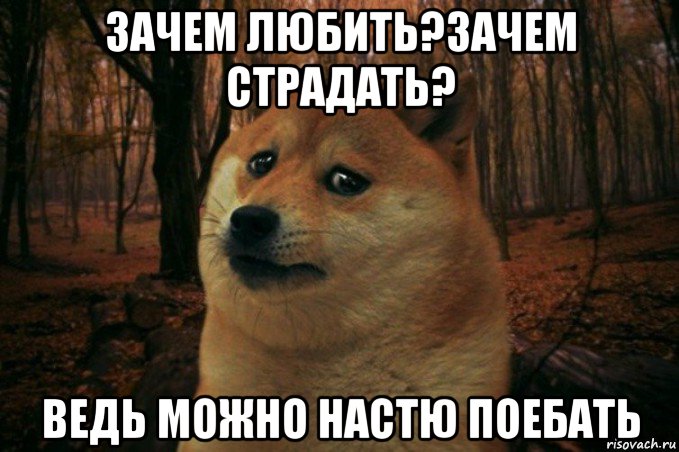 зачем любить?зачем страдать? ведь можно настю поебать, Мем SAD DOGE