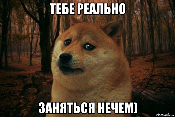 тебе реально заняться нечем), Мем SAD DOGE