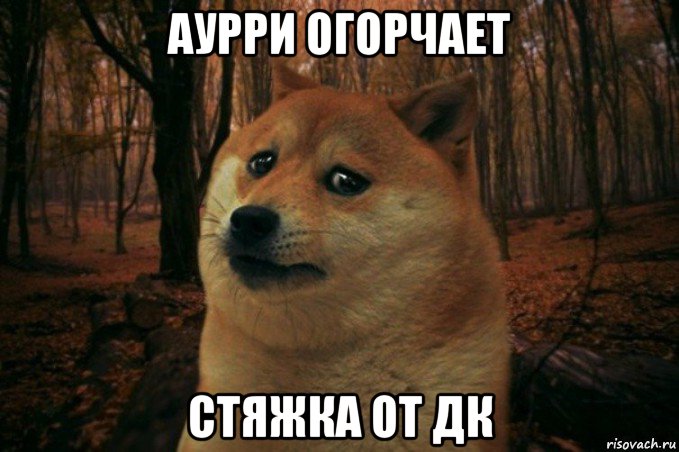 аурри огорчает стяжка от дк, Мем SAD DOGE