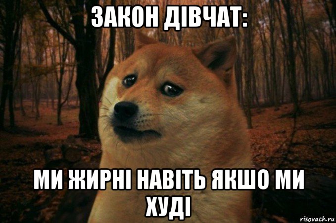 закон дівчат: ми жирні навіть якшо ми худі, Мем SAD DOGE