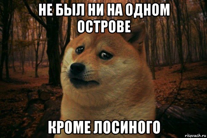 не был ни на одном острове кроме лосиного, Мем SAD DOGE