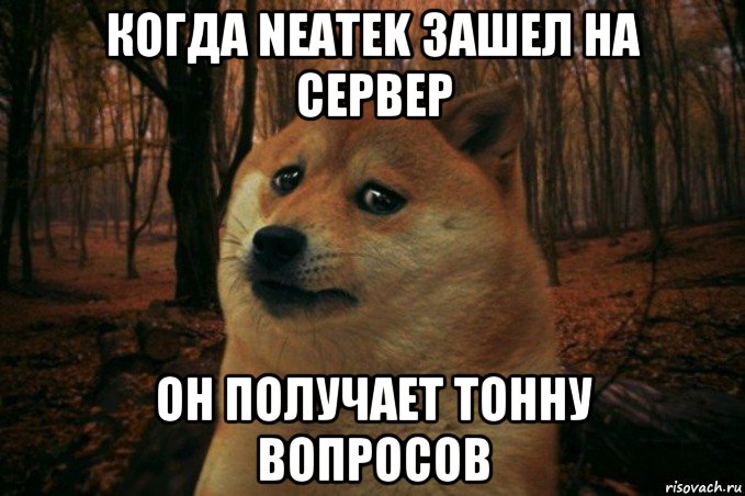 когда neatek зашел на сервер он получает тонну вопросов, Мем SAD DOGE