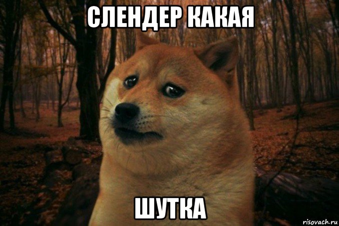 слендер какая шутка, Мем SAD DOGE