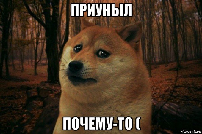 приуныл почему-то (, Мем SAD DOGE