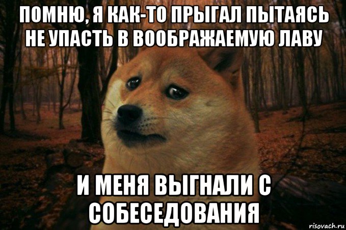 помню, я как-то прыгал пытаясь не упасть в воображаемую лаву и меня выгнали с собеседования, Мем SAD DOGE