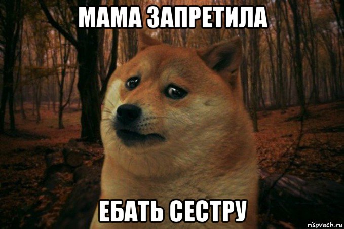 мама запретила ебать сестру, Мем SAD DOGE