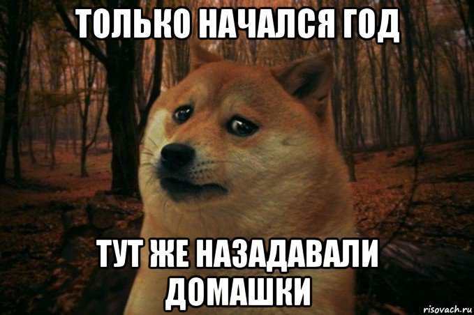 только начался год тут же назадавали домашки, Мем SAD DOGE