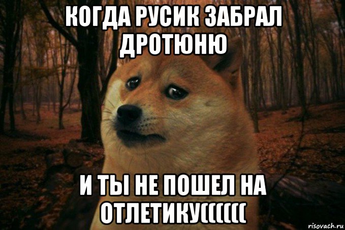 когда русик забрал дротюню и ты не пошел на отлетику((((((, Мем SAD DOGE