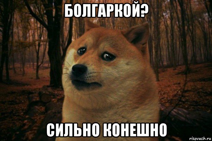 болгаркой? сильно конешно, Мем SAD DOGE