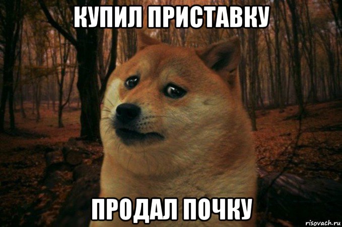 купил приставку продал почку, Мем SAD DOGE