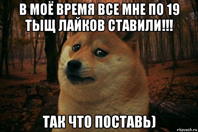 в моё время все мне по 19 тыщ лайков ставили!!! так что поставь), Мем SAD DOGE