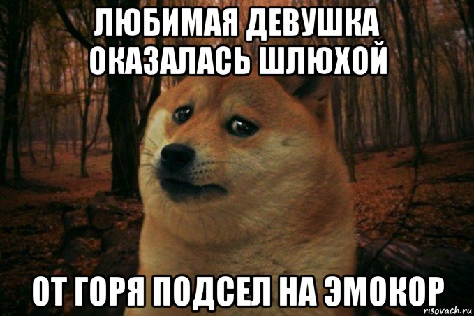 любимая девушка оказалась шлюхой от горя подсел на эмокор, Мем SAD DOGE