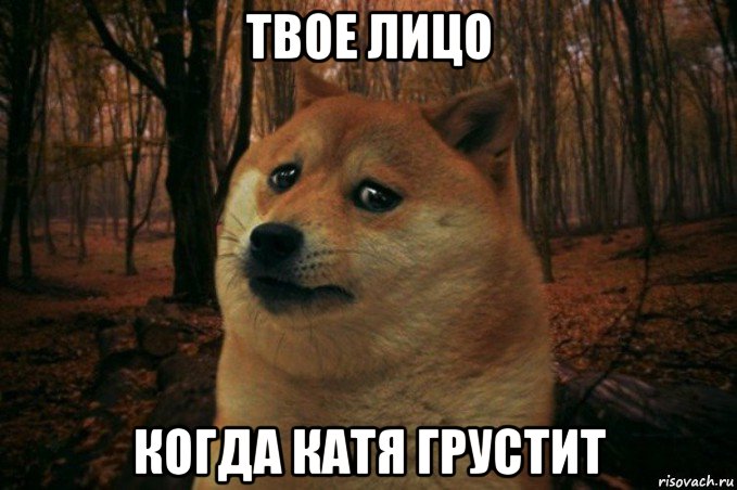 твое лицо когда катя грустит, Мем SAD DOGE