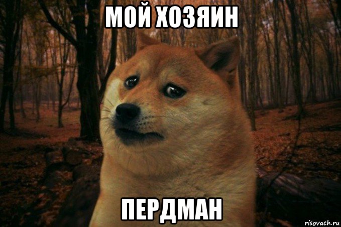 мой хозяин пердман, Мем SAD DOGE