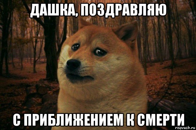 дашка, поздравляю с приближением к смерти, Мем SAD DOGE